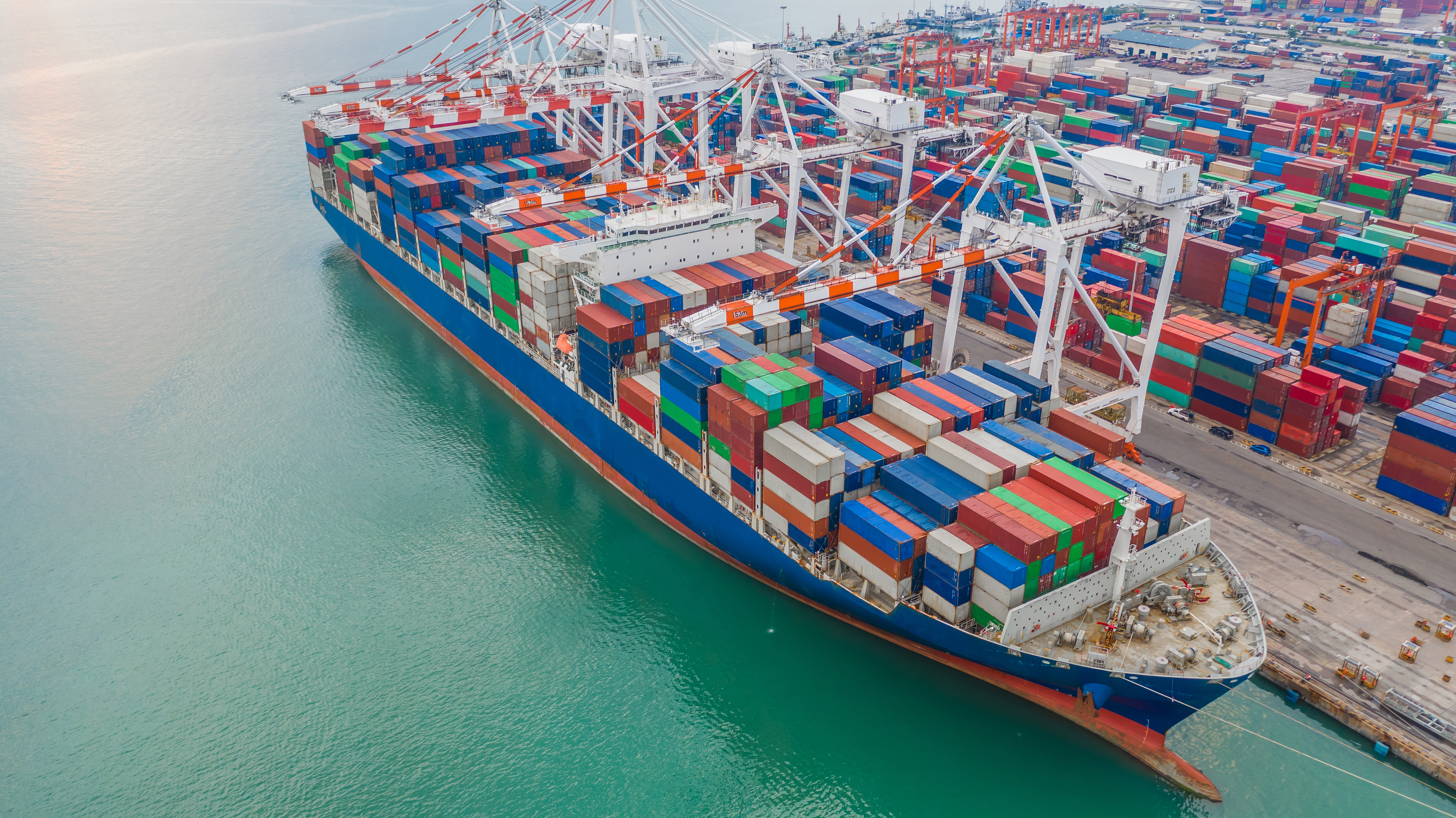 What Does the Future Hold for Businesses Working with Customs Clearance Limited UK?