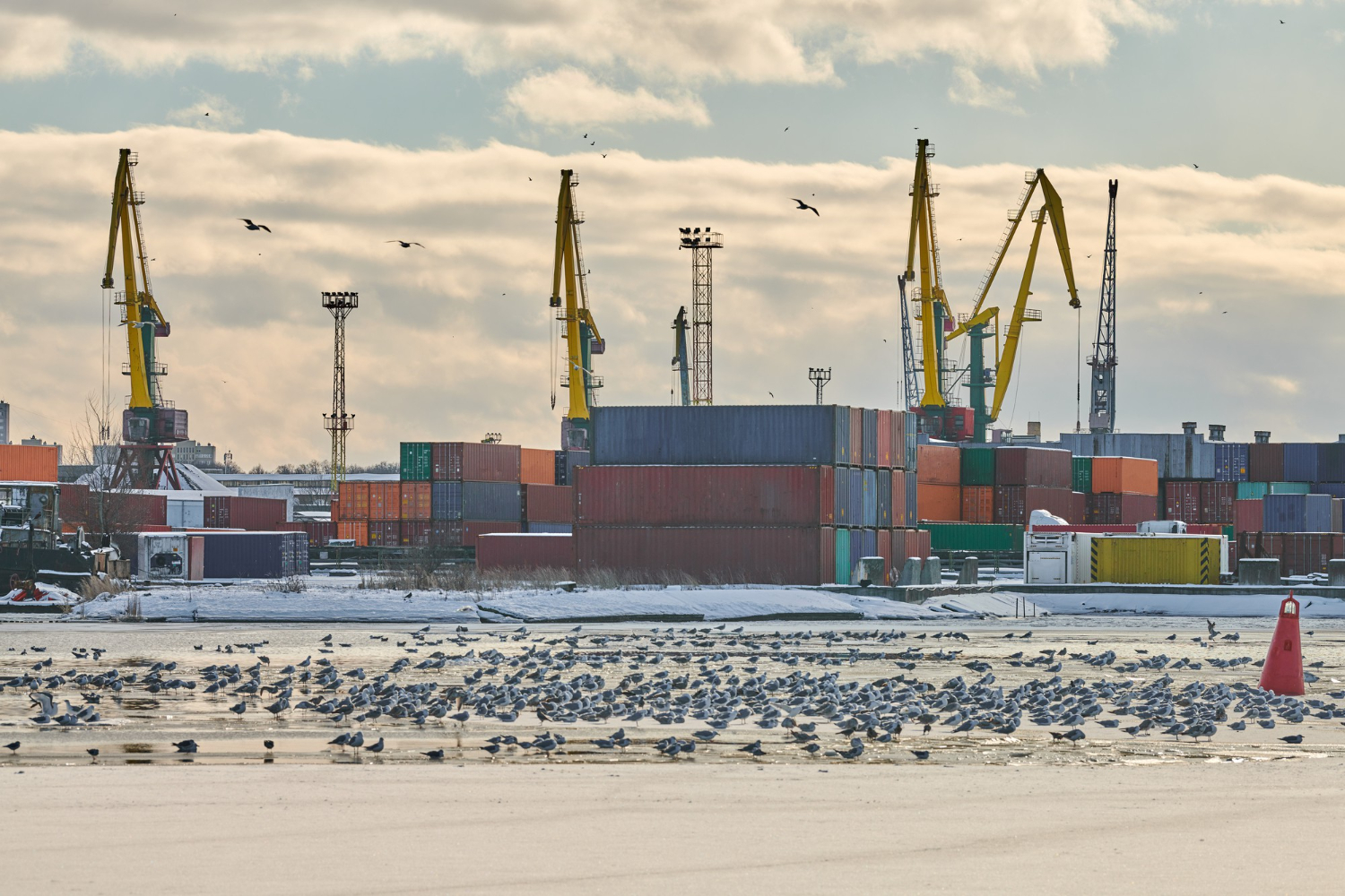 Smooth Sailing Through Borders: Expert Customs Clearance Solutions for Global Trade